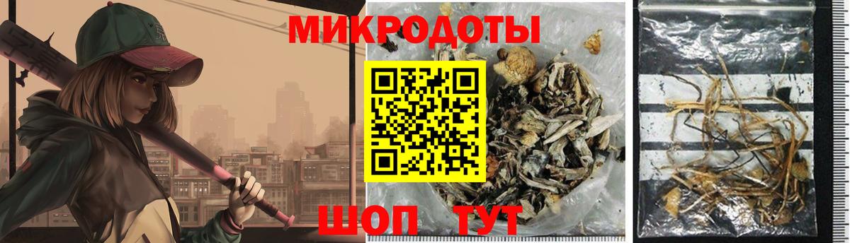 Кольчугино  Псилоцибиновые грибы Psilocybine cubensis  Вход с VPN 